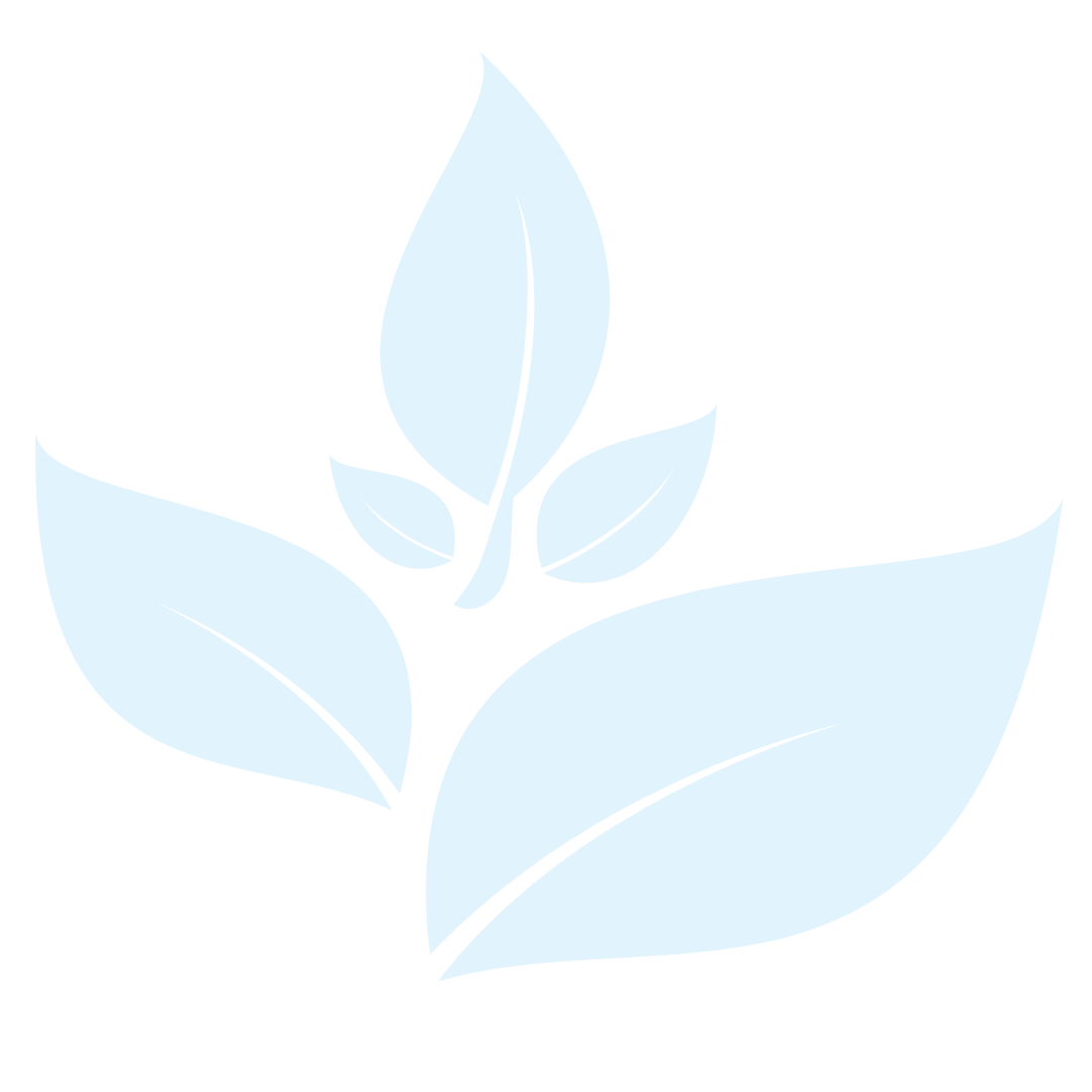 Leaves