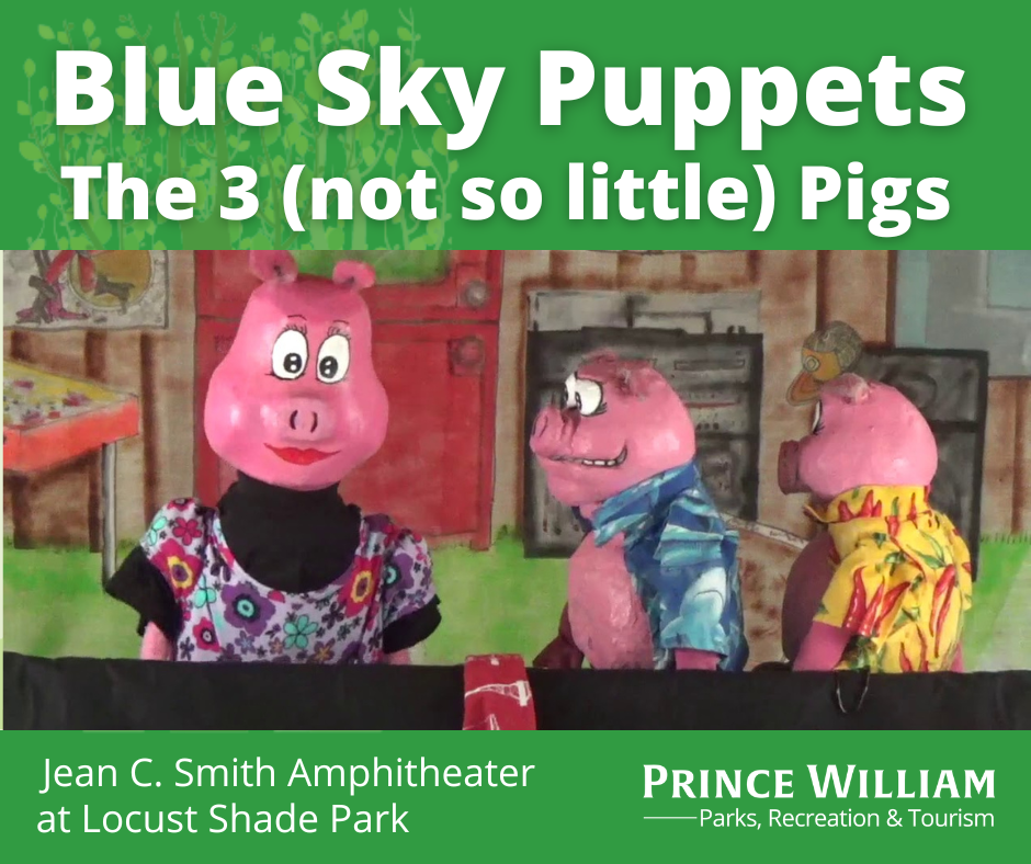 3 Not So Little Pigs
