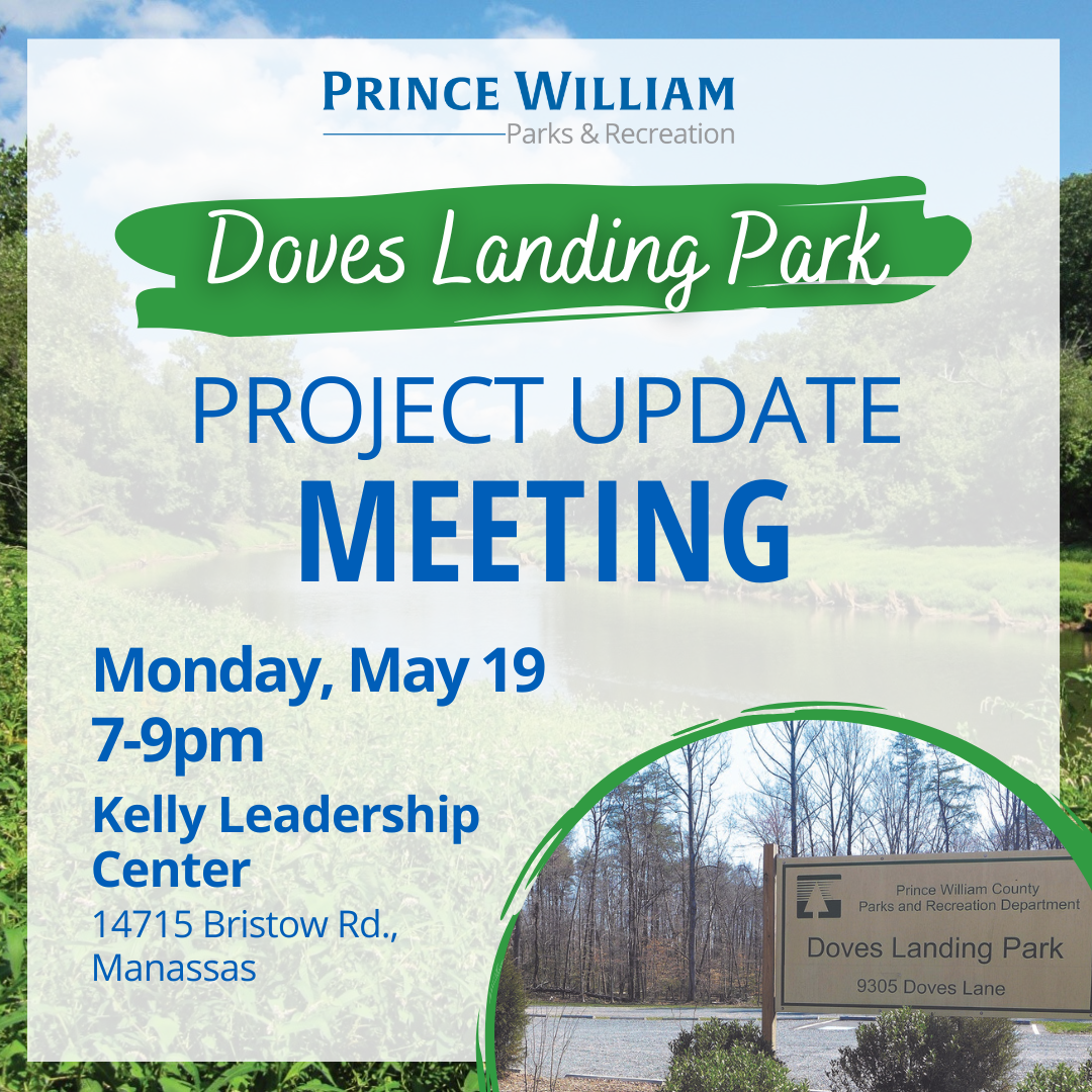 Project Update Meeting